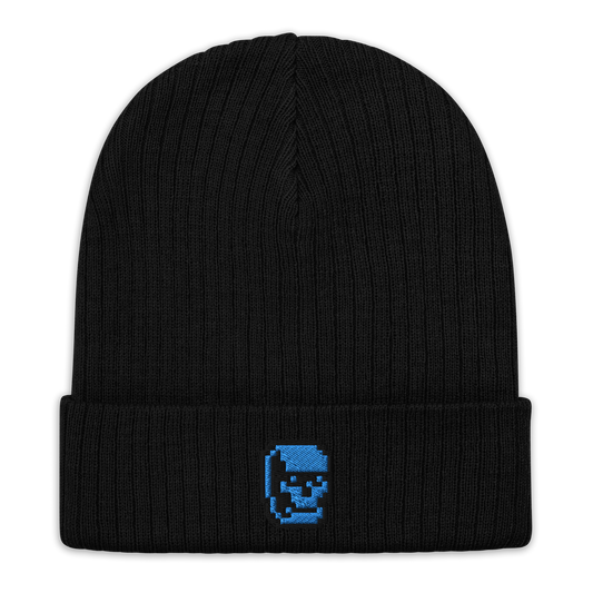 ROY Ribbed knit beanie