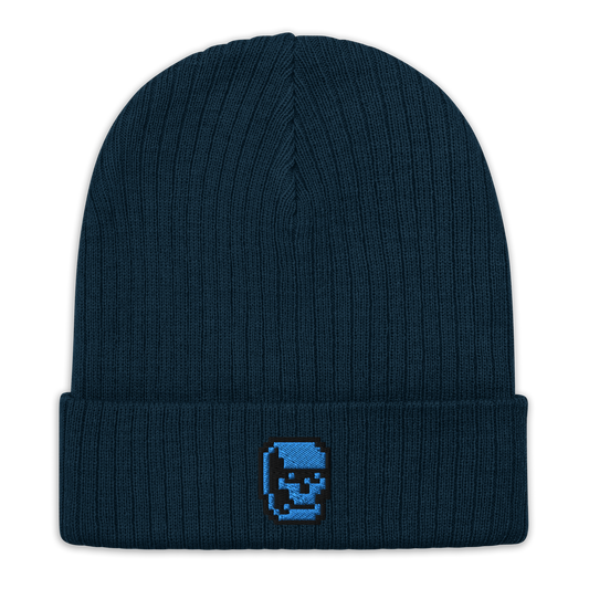 ROY Ribbed knit beanie